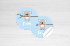 Lieve koalabeer